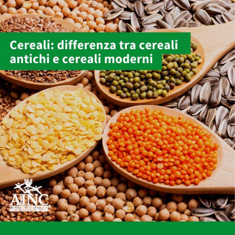 Celiachia: differenza tra cereali antichi e cereali moderni