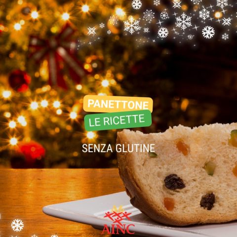Panettone salato senza glutine