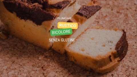 Plumcake rustico senza glutine